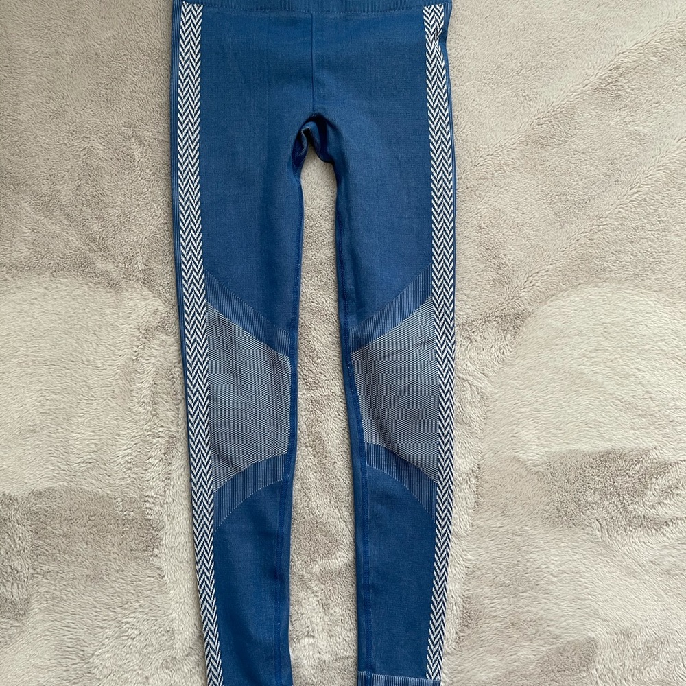 Fabletics leggings
